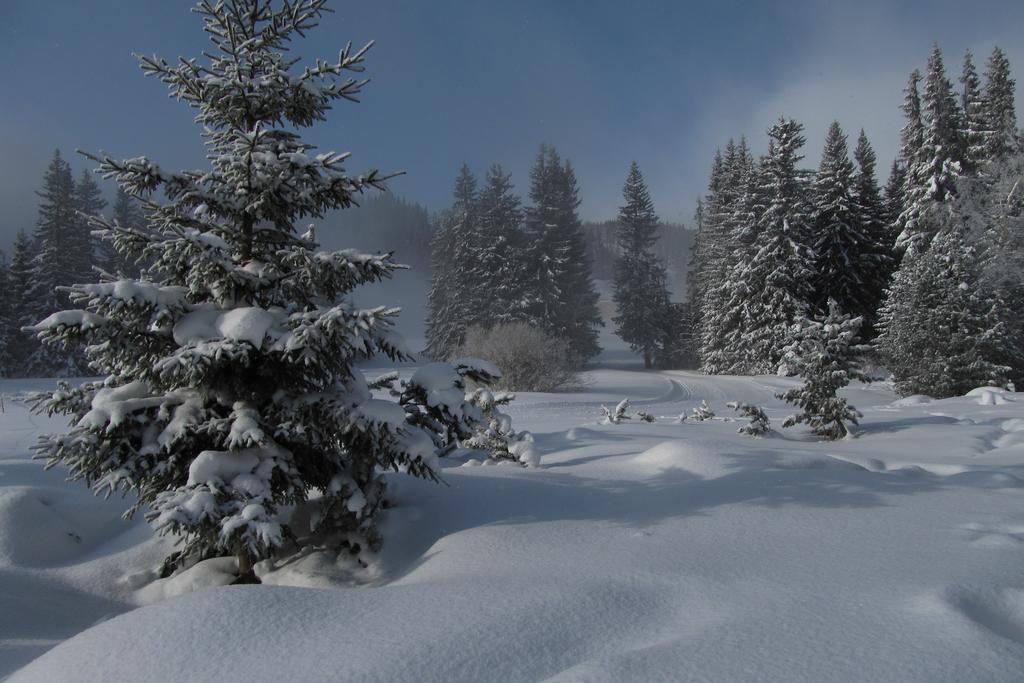 Apartman Strbske Pleso - Crocus 219 Exteriör bild